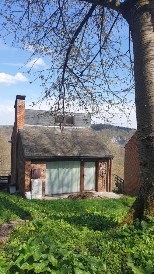 La Cabane D'Helie - Cottage En Pleine Foret - Domaine Du Bonsoy Hastiere-par-dela Екстер'єр фото