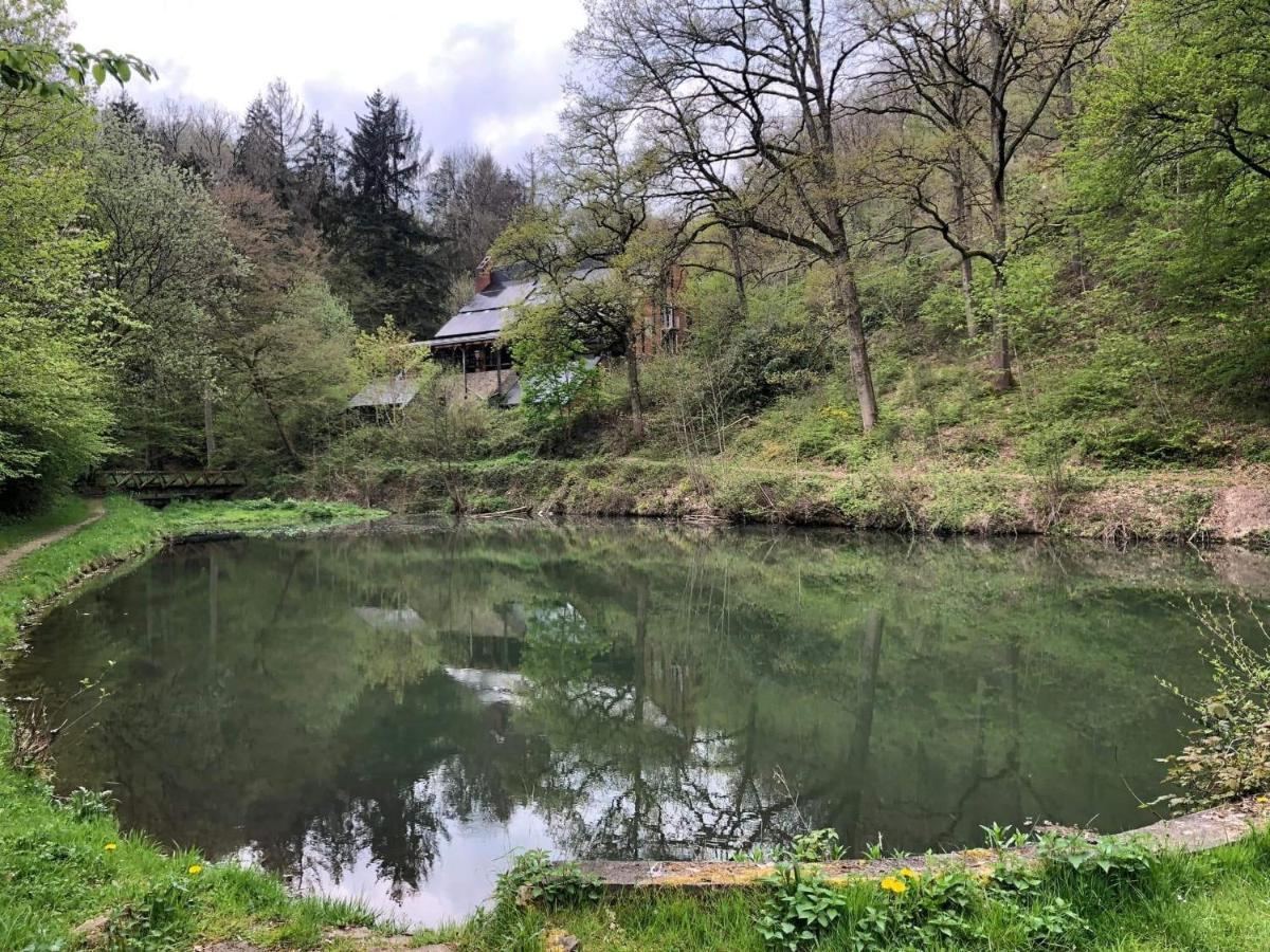 La Cabane D'Helie - Cottage En Pleine Foret - Domaine Du Bonsoy Hastiere-par-dela Екстер'єр фото